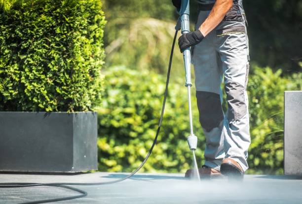 Best Driveway Pressure Washing  in Cedar Springs, MI