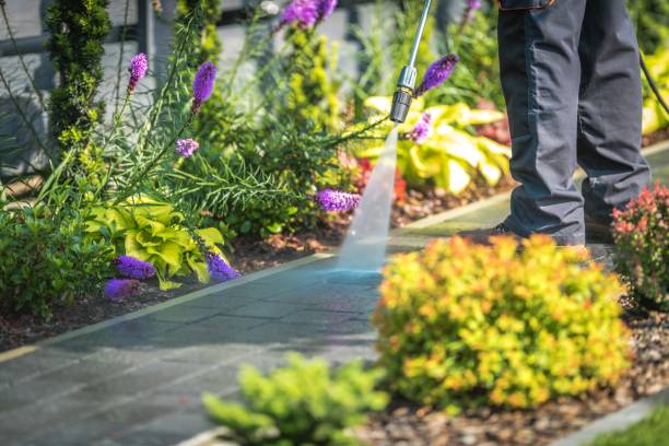 Best Pool Deck Cleaning  in Cedar Springs, MI