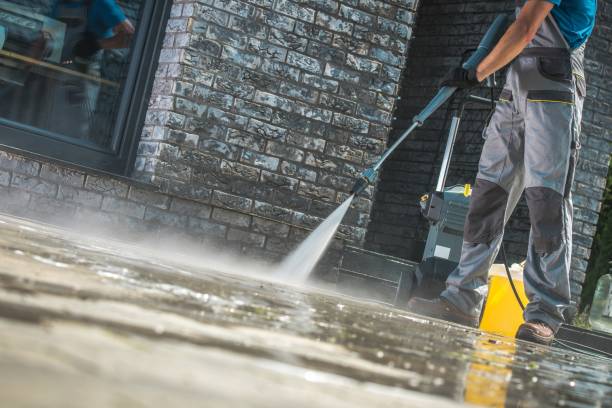 Best Patio and Deck Pressure Washing  in Cedar Springs, MI