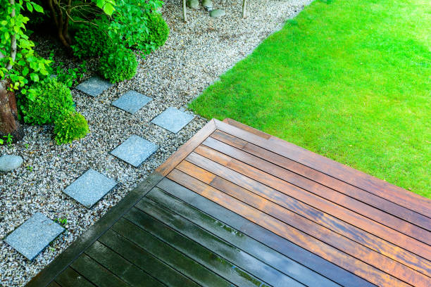 Best Roof Washing  in Cedar Springs, MI