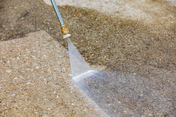 Best Animal Enclosure Cleaning  in Cedar Springs, MI