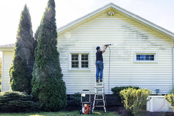 Pre-Holiday Cleaning in Cedar Springs, MI
