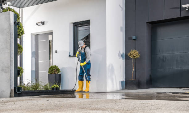 Best Solar Panel Cleaning  in Cedar Springs, MI