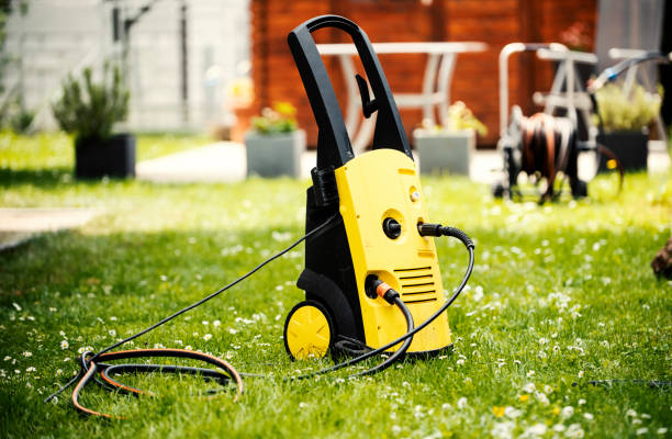 Best House Exterior Washing  in Cedar Springs, MI